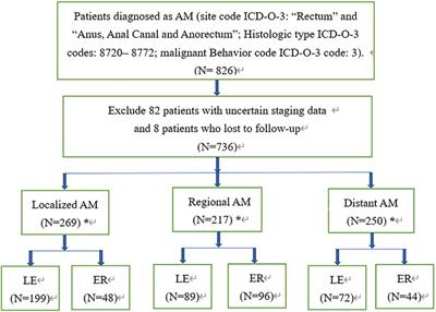 Extensive resection improves overall and disease-specific survival in localized anorectal melanoma: A SEER-based study